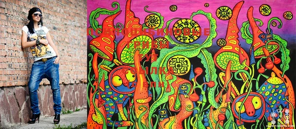 PSILOCYBIN Алексеевка