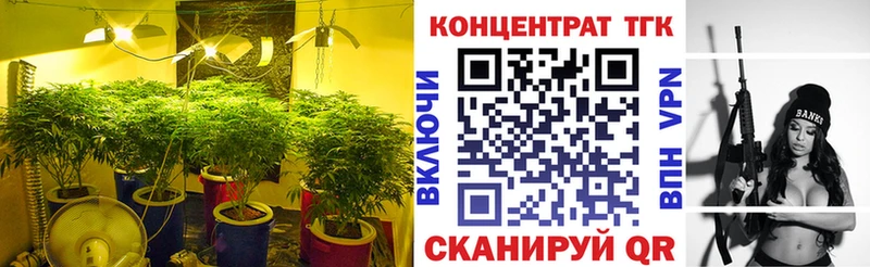 сколько стоит Лениногорск ТГК гашишное масло