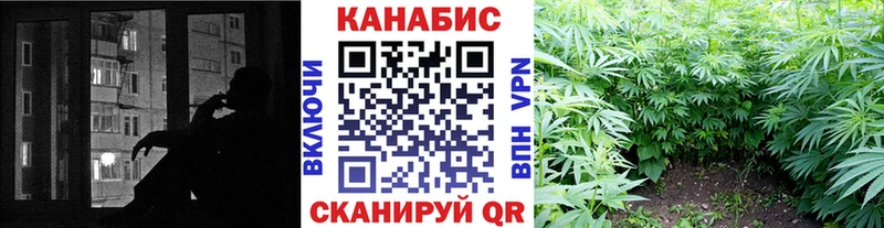купить наркотики сайты Лениногорск Шишки марихуана SATIVA & INDICA
